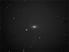 NGC 4125 - SN 2016coj